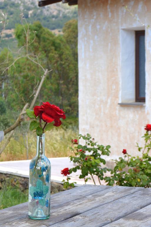 Agriturismo Rubinu กัลเตลลิ ห้อง รูปภาพ